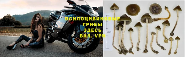 COCAINE Арсеньев
