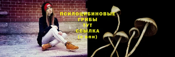 ешки Аркадак
