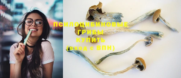 ешки Аркадак