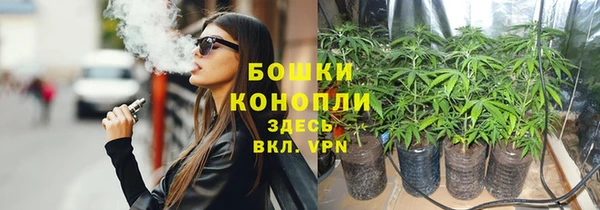 ешки Аркадак